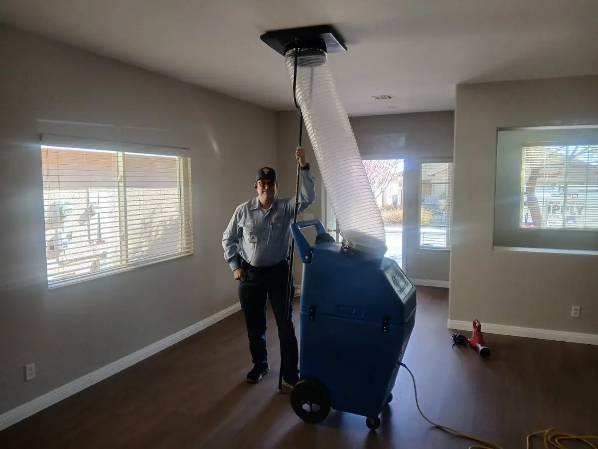 Professional Dryer Vent Cleaning work inside a Chicago Heights home